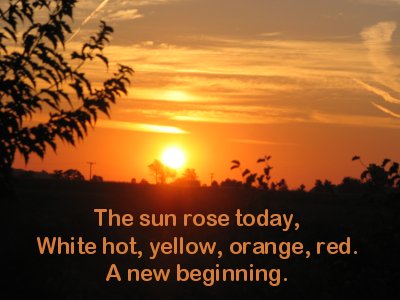 TheSunRose02