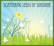 Scattering Seeds of Sunshine